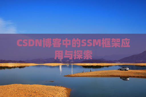 CSDN博客中的SSM框架应用与探索